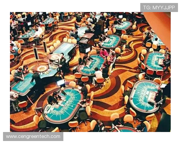 掌握K8博彩的最新技术趋势了解未来发展方向提升你的博彩策略